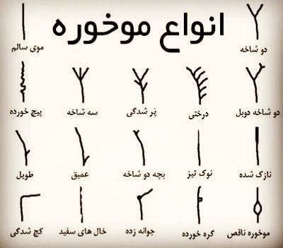 سرم بازسازی کننده و رفع مو خوره التیمیت ریپیر هیراکس 30 میل اوریفلیم 42889